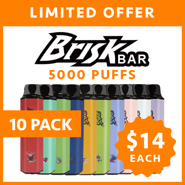 BRISK BAR - 5000 PUFFS - 10 PACK