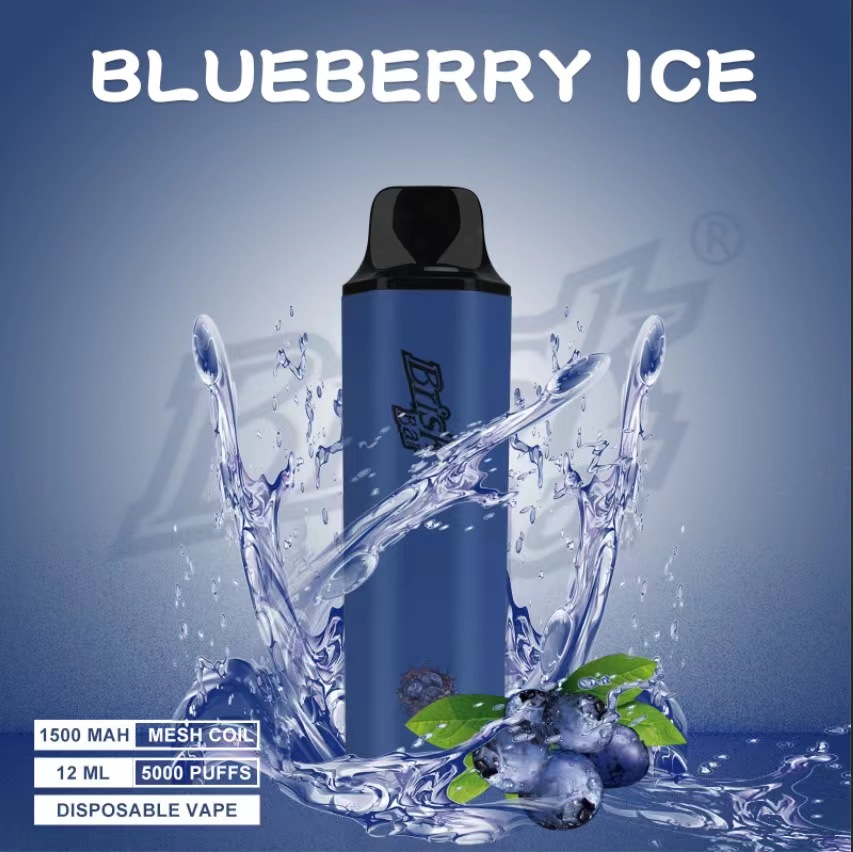 BRISK BAR BLUEBERRY ICE - 5000 PUFFS
