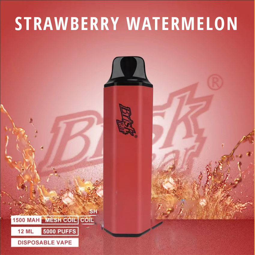 BRISK BAR STRAWBERRY WATERMELON - 5000 PUFFS