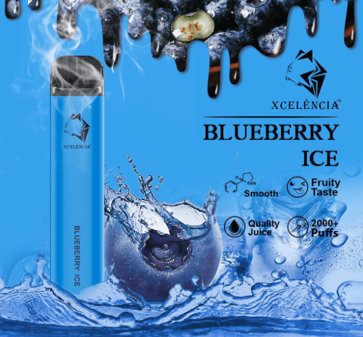 GUNNPOD BLUEBERRY ICE - 2000 PUFFS