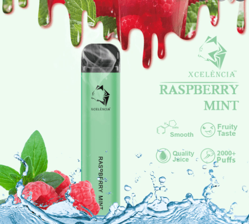 GUNNPOD RASPBERRY MINT - 2000 PUFFS