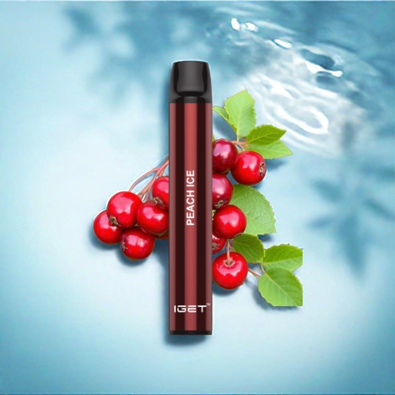 IGET SHION CRANBERRY - 600 PUFFS