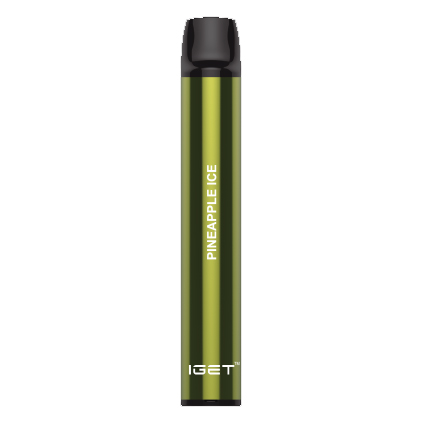 IGET SHION MYSTERY FRUIT - 600 PUFFS