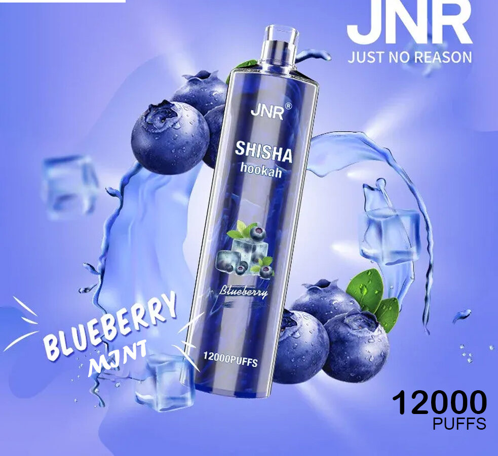 JNR SHISHA HOOKAH - BLUEBERRY POMEGRANATE - 12000 PUFFS