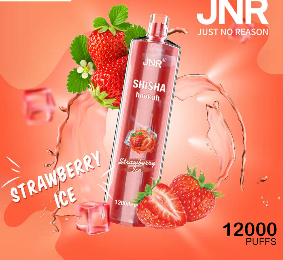 JNR SHISHA HOOKAH WATERMELON ICE - 12000 PUFFS