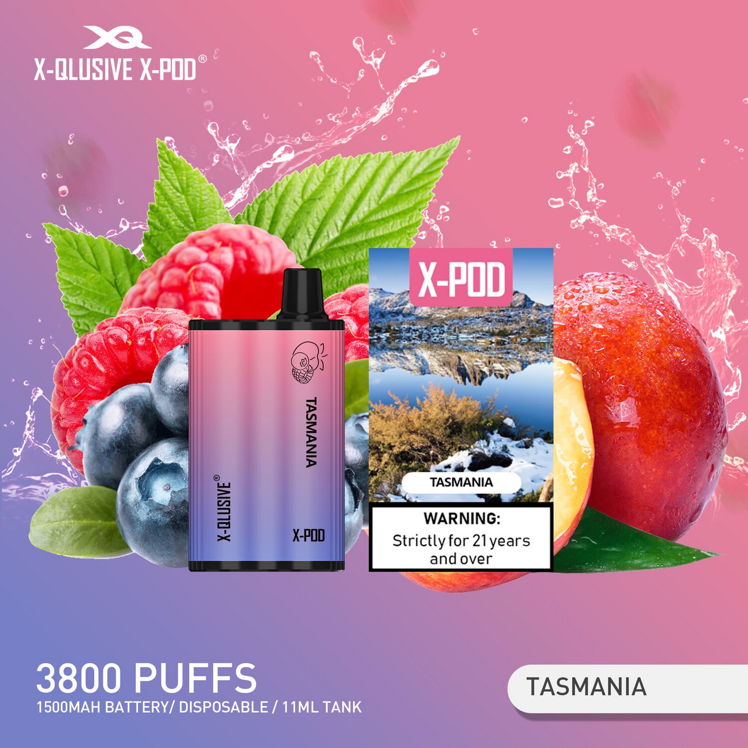 X - QLUSIVE X - POD TASMANIA (Blueberry Raspberry Peach) - 3800 PUFFS